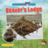 Beaver's Lodge Format: Paperback