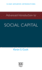 Advanced Introduction to Social Capital