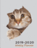 2019-2020 Weekly Planner: Large Two Years Organizer Notebook-Cat Looking Out (2-Year Planners? Cats)