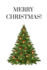 Merry Christmas!