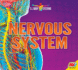 Nervous System