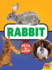 Rabbit Jill Foran