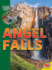 Angel Falls