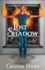 Lost Shadow (the Neverwood Chronicles)