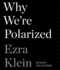 Why We'Re Polarized
