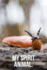 My Spirit Animal: Slug Journal