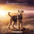 Desert Rescue (the K-9 Search & Rescue Series)