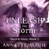 Unleash the Storm (the Steel & Stone Series)