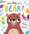 How Big is a Bear? (Slide and Seek-Multi-Stage Pull Tab Books)