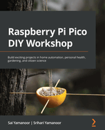 Raspberry Pi Pico Diy Workshop
