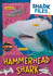 Hammerhead Shark (Teeth to Tail)