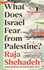 What Does Israel Fear From Palestine?