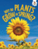 Why Do Plants Grow in Spring? (Stepping Into Science)