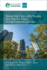 Designing Cities with People, Not Just for Them: The Power of Collaborative Urban Futures