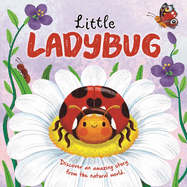 Nature Stories: Little Ladybug Discover an Amazing Story From the Natural World: Padded Board Book