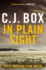 In Plain Sight (Joe Pickett)