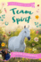 Team Spirit (Pippas Pony Tales)