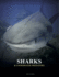 Sharks and Underwater Predators (Animals) (Animals in Photographs)