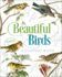 Beautiful Birds Coloring Book (Sirius Classic Nature Coloring)