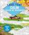 Large Print Calm Color By Numbers: Easy to Read (Sirius Large Print Color By Numbers Collection, 3)