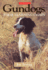 Gun Dogs: Their Learning Chain