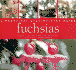 Fuchsias: a Practical Step-By-Step Guide (Step By Step Guide)