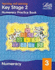 Key Stage 2: Numeracy Textbook-Year 3 (Key Stage 2 Numeracy Activity)