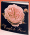 The English Rose