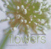 Jane Packer's Flowers