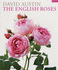 The English Roses (Conran Octopus Gardening)