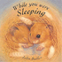 While You Were Sleeping (Little Orchard Board Book)