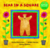 Bear in a Square