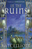 In the Ruins: the Crown of Stars Series: Book Six