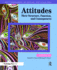 Attitudes: Their Structure, Function and Consequences (V. 1)