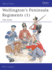 Wellington's Peninsula Regiments: Irish V. 1 (Men-at-Arms)