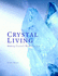 Crystal Users Handbook: an Illustrated Guide