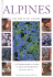 Alpines (Little Plant Library)