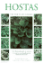 Hostas (Little Plant Library)