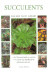 Succulents (Little Plant Library)