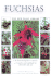 Fuchsias (Little Plant Library)