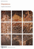 Dilapidations: Rics Guidance Notes (5th Edition)