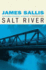 Salt River (Turner Trilogy, 3)