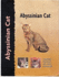 Abyssinian Cat