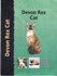 Devon Rex Cat