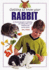 Getting to Know Your Rabbit