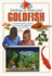 Getting to Know Your Goldfish (Getting to Know)