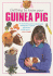 Getting to Know Your Guinea Pig