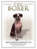The Boxer (Terra Nova Series)