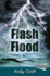 Flash Flood (Solos)