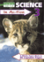 Science in Action-Book 3: Bk. 3 (Folens Primary)